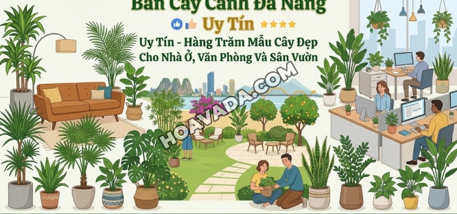 Ban-Cay-Canh-Da-Nang-Uy-Tin-–-Hang-Tram-Mau-Cay-Dep-Cho-Nha-O--Van-Phong-Va-San-Vuon