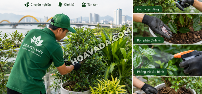 Cham-Soc-Cay-Canh-Da-Nang-–-Giai-Phap-Duy-Tri-Khong-Gian-Xanh-Dep-Ben-Vung