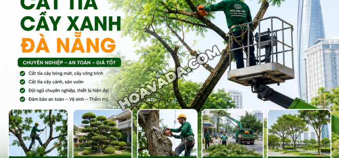 Dich-Vu-Cat-Tia-Cay-Xanh-Da-Nang-Chuyen-Nghiep--An-Toan--Gia-Tot
