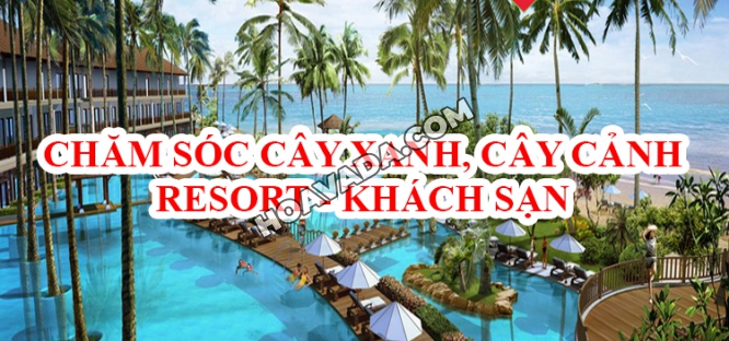 Dich-vu-cham-soc-cay-xanh--cay-canh-khach-san--resort