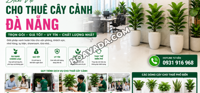 Dich-Vu-Cho-Thue-Cay-Canh-Da-Nang-Tron-Goi-Gia-Tot--Uy-Tin--Chat-Luong-Nhat