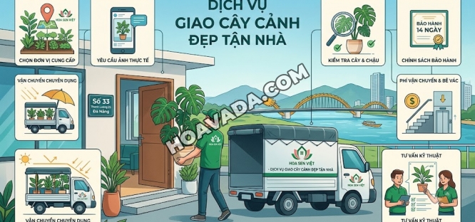 Dich-Vu-Giao-Cay-Canh-Dep-Tan-Nha-Tai-Da-Nang:-7-Luu-Y-Can-Biet