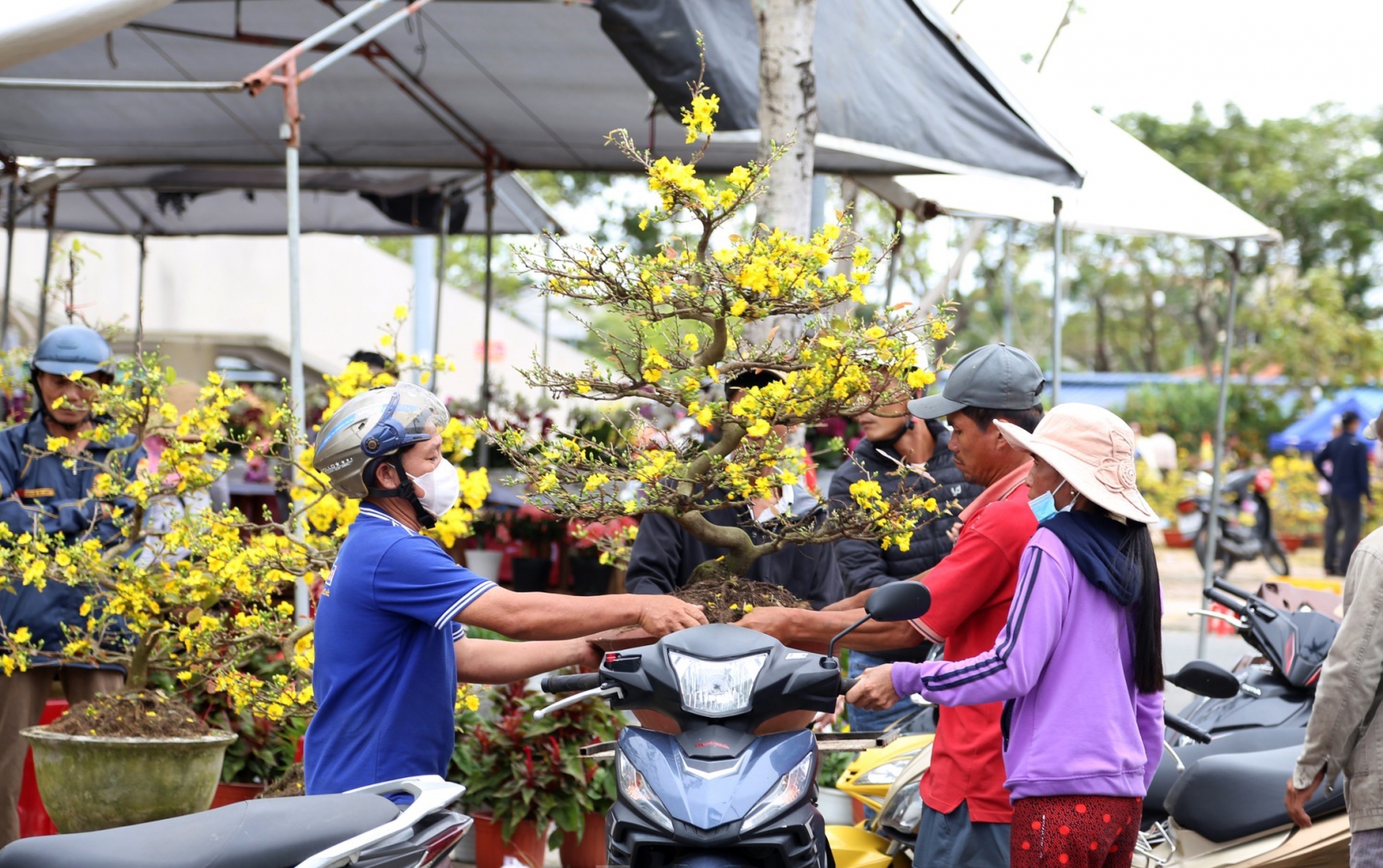 chợ hoa đà nẵng