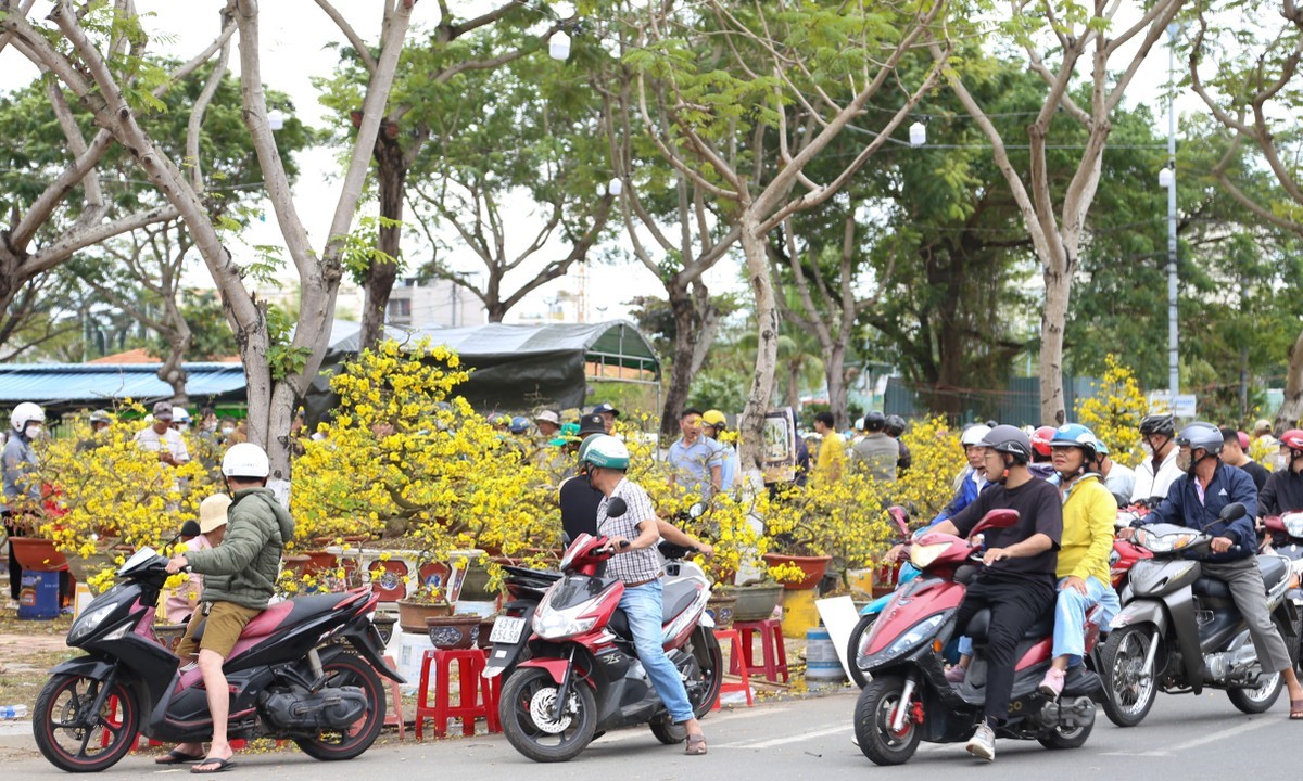 chợ hoa đà nẵng